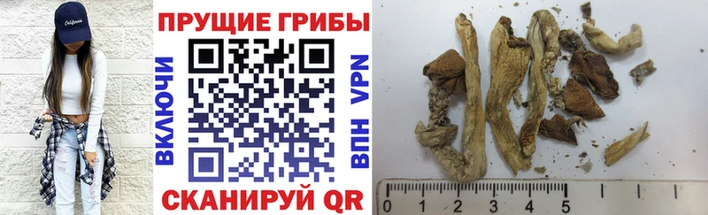 Купить закладки  Камень-на-Оби  Галлюциногенные грибы Magic Shrooms 